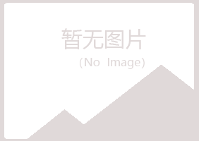 偃师沉沦咨询有限公司